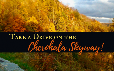 Take a Drive on the Cherohala Skyway!