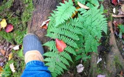 The L.L. Bean Storm Chasers Clog