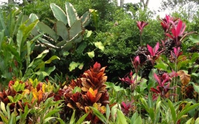 Villa Hermosa: Your Home Away from Home in Costa Rica