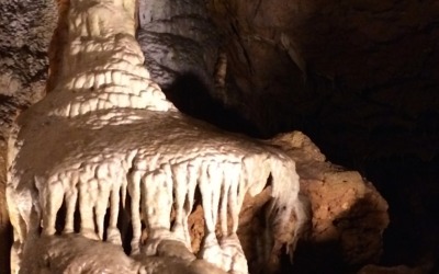 Explore Florida Caverns State Park