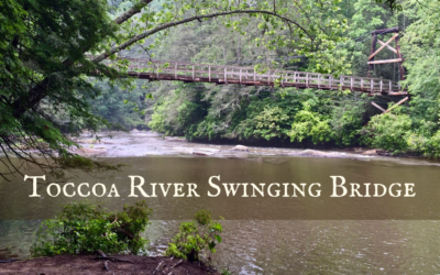 Toccoa River Swinging Bridge