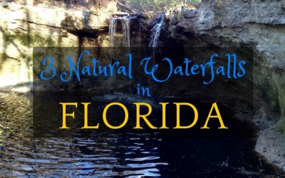 Visit 3 Natural Waterfalls in Florida