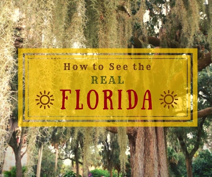 How to See the Real Florida: 11 Essential Web Sites
