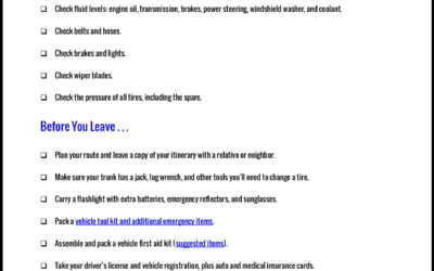 How to Get Your Vehicle Road Trip Ready 1