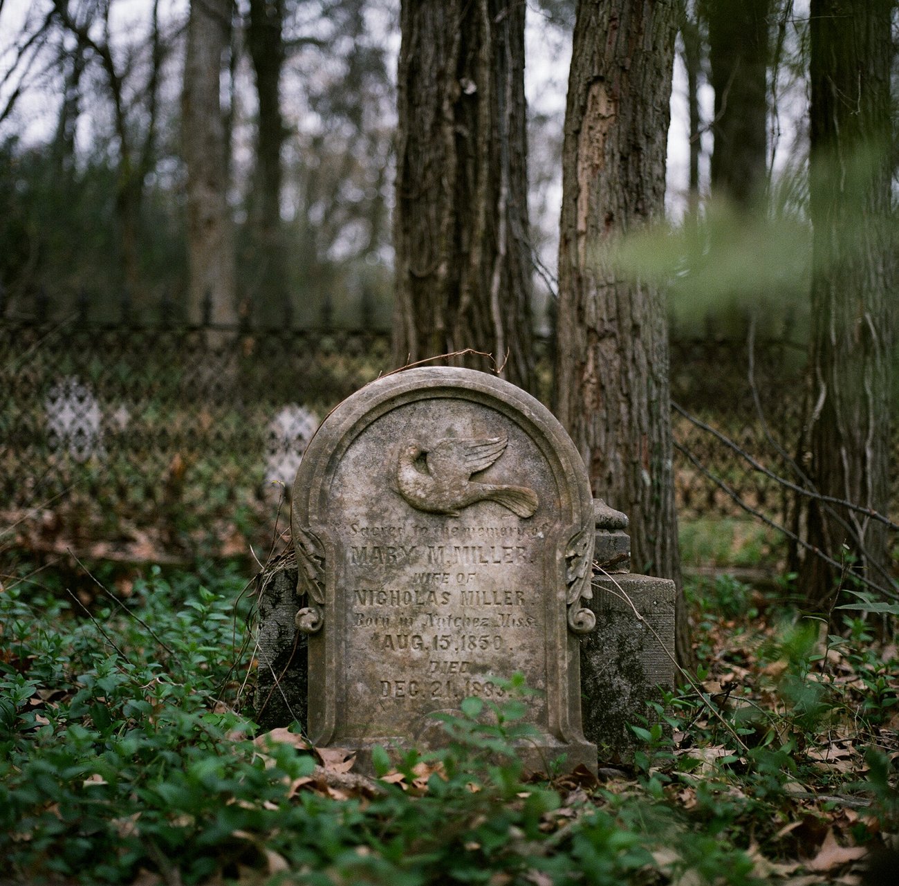 Rodney Mississippi Cemetery