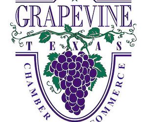 Notable Brand Partners 16