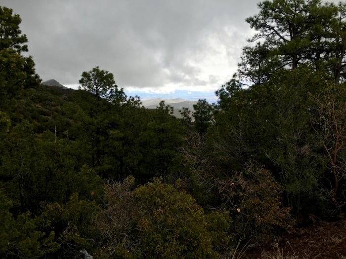 Coronado Trail Arizona View