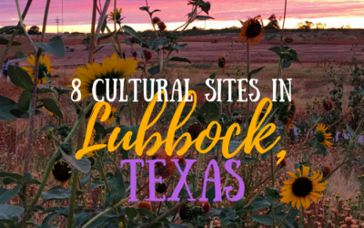 Visit 8 first-rate cultural sites in Lubbock, Texas, including the Buddy Holly Center, the Silent Wings Museum, and Robert Bruno's Steel House.