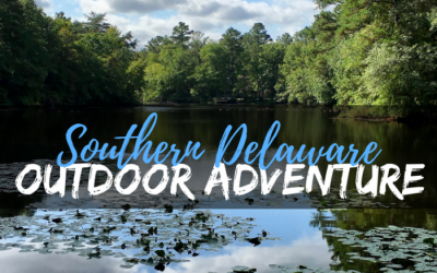 Experience the best in Southern Delaware outdoor adventure at state parks & historical sites while hiking, biking, camping, kayaking, or jumping out of a plane!