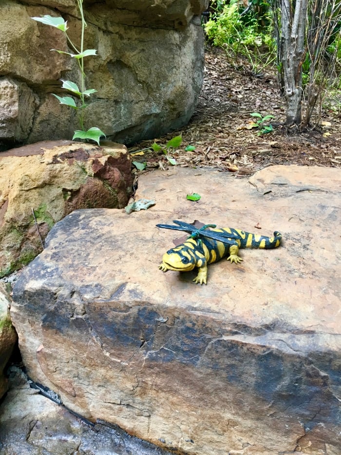 gecko and dragonfly garden art