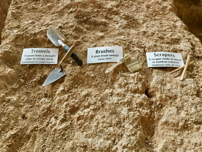 paleontologist's tools