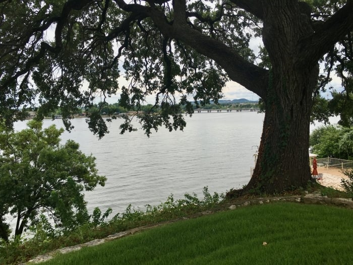 a shade tree by a lake