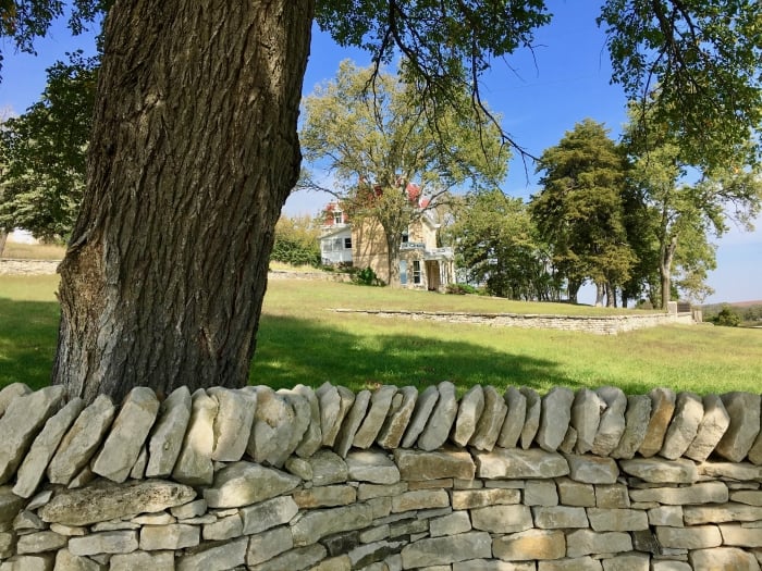 stone wall, tree, and