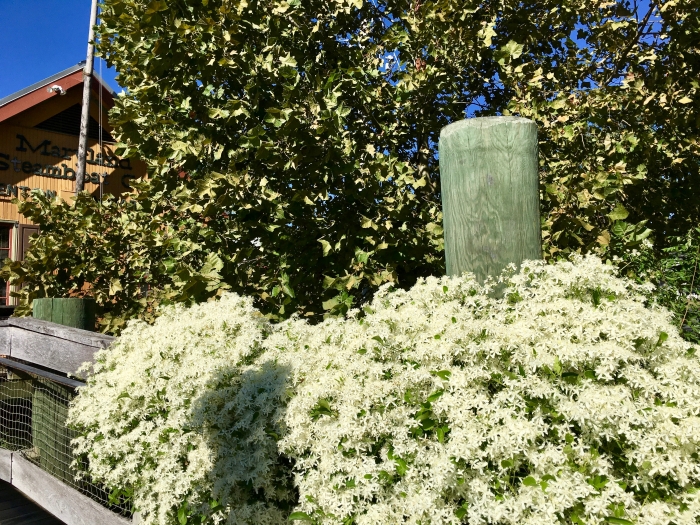 Drive the Maryland Harriet Tubman Underground Railroad Byway 63