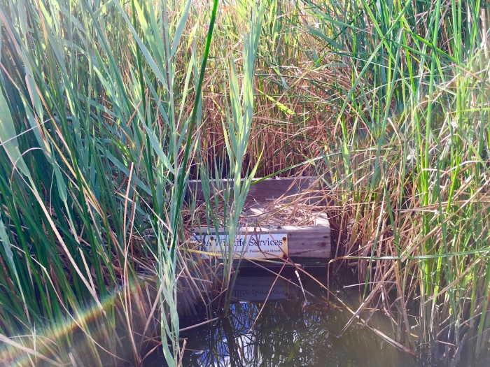Drive the Maryland Harriet Tubman Underground Railroad Byway 35