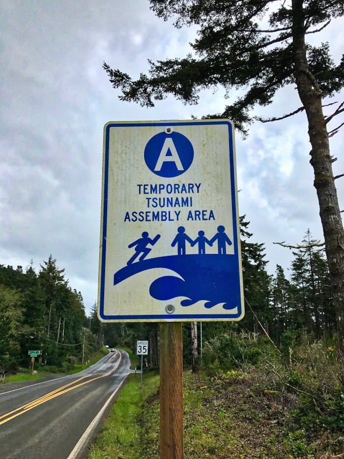 Tillamook: A Drive Along the North Oregon Pacific Coast 45