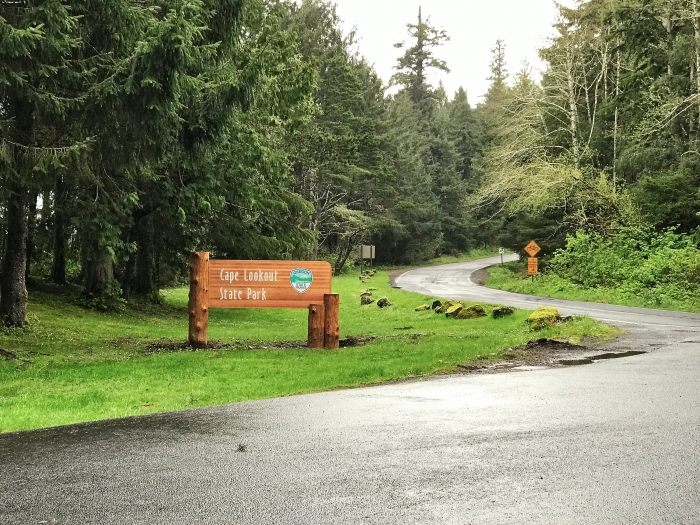 Tillamook: A Drive Along the North Oregon Pacific Coast 50