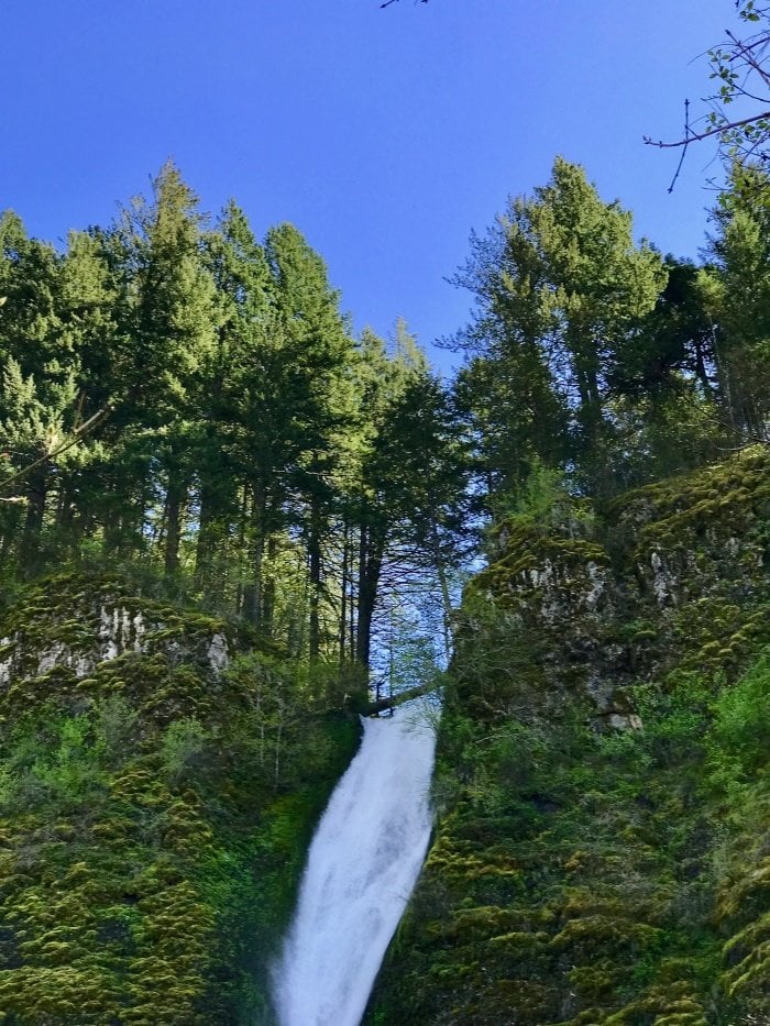 Roadside Waterfalls of Oregon's Columbia River Gorge 16