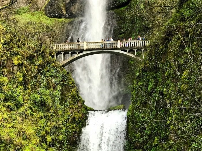 Roadside Waterfalls of Oregon's Columbia River Gorge 25
