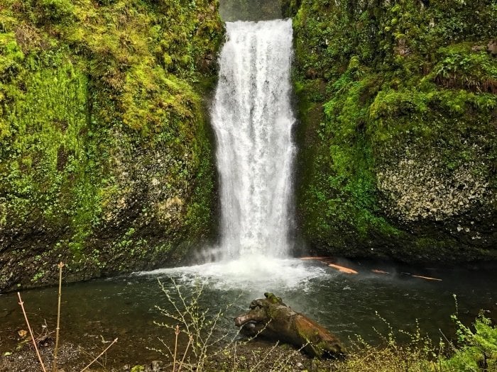 Roadside Waterfalls of Oregon's Columbia River Gorge 26