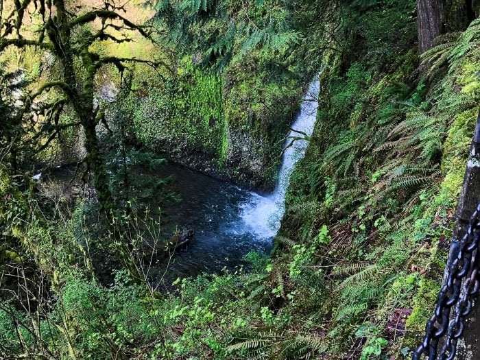 Roadside Waterfalls of Oregon's Columbia River Gorge 28