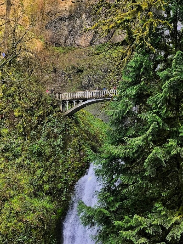 Roadside Waterfalls of Oregon's Columbia River Gorge 27