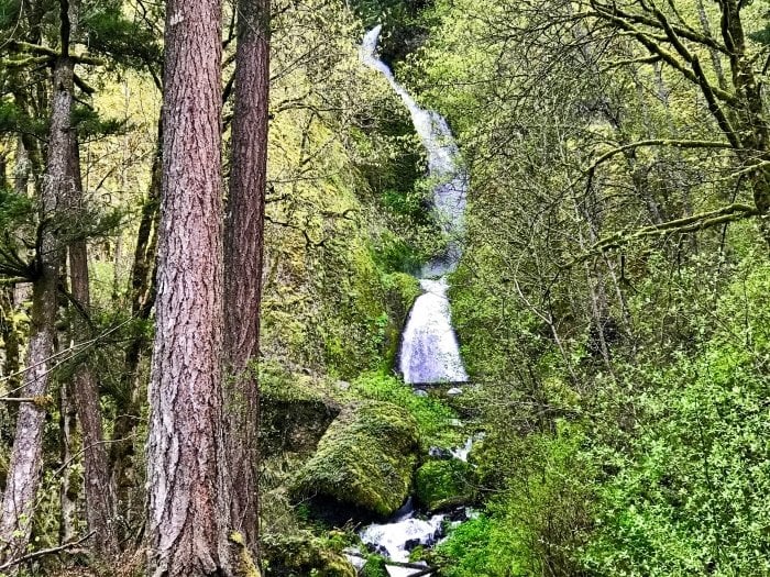Roadside Waterfalls of Oregon's Columbia River Gorge 34