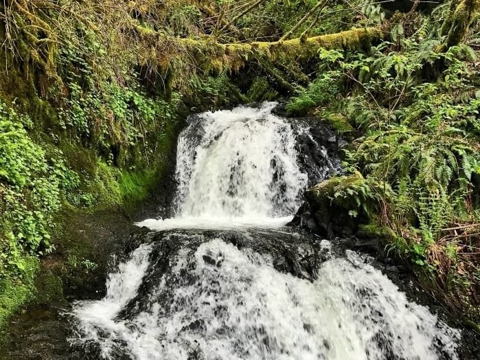 Roadside Waterfalls of Oregon's Columbia River Gorge 46