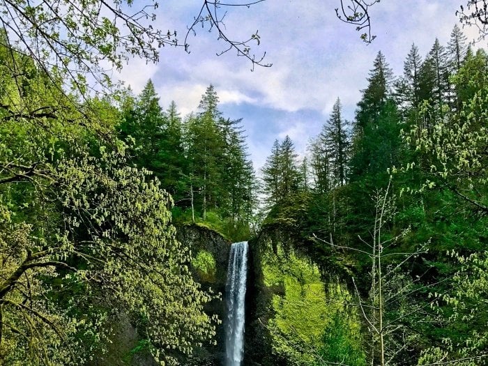Roadside Waterfalls of Oregon's Columbia River Gorge 47