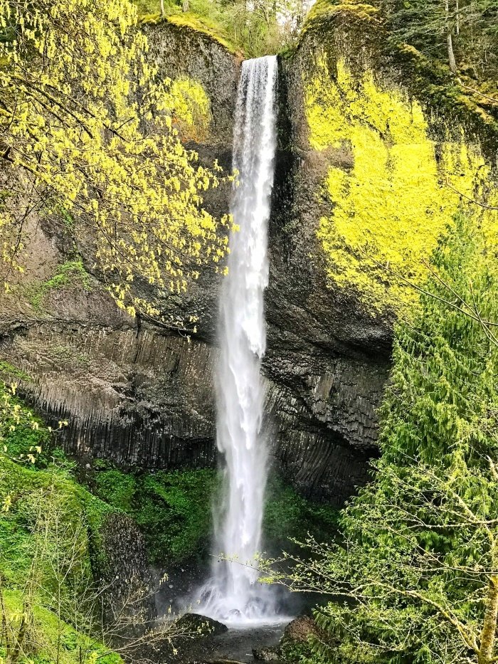 Roadside Waterfalls of Oregon's Columbia River Gorge 50