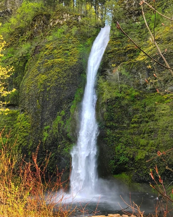 Roadside Waterfalls of Oregon's Columbia River Gorge 14