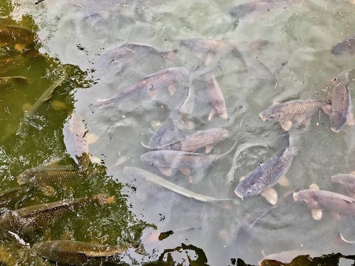 Discover Raystown Lake & Huntingdon County, Pennsylvania 112