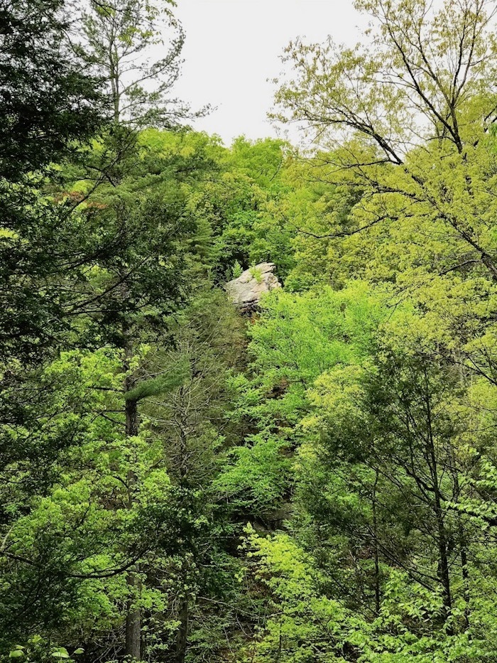 Discover Raystown Lake & Huntingdon County, Pennsylvania 28