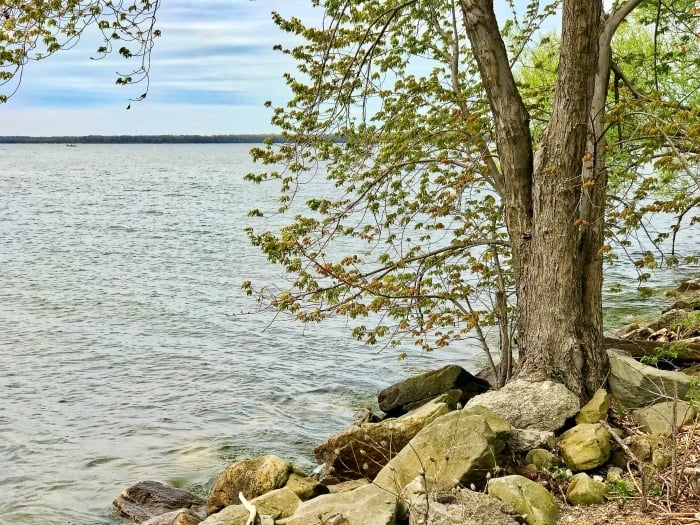 7 Favorite Summer Activities at Presque Isle State Park - VisitErie