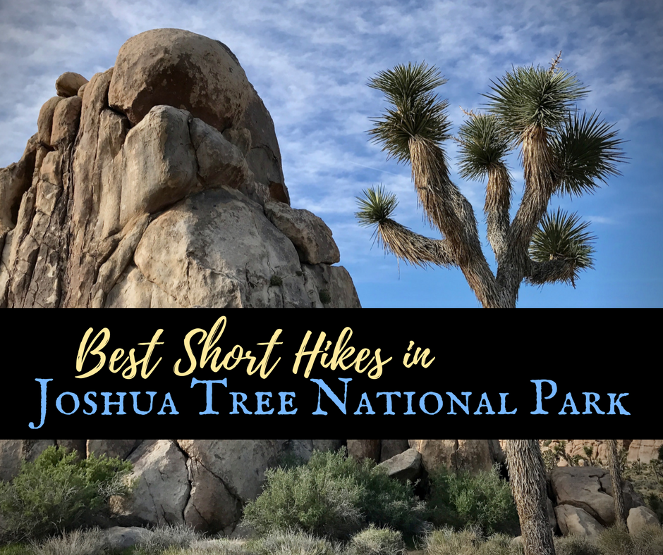 Best short shop hikes joshua tree