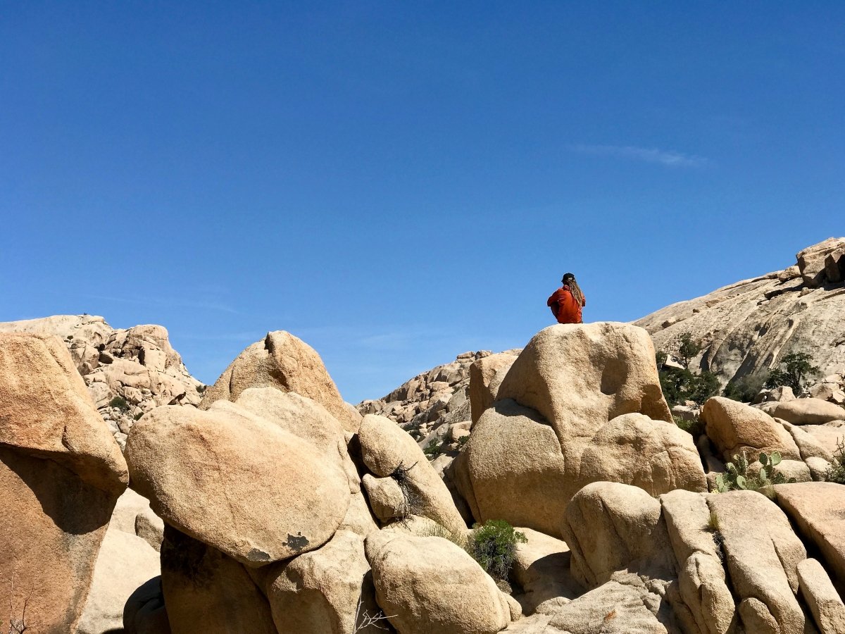Best Hikes in Joshua Tree National Park on a One-Day Trip 25