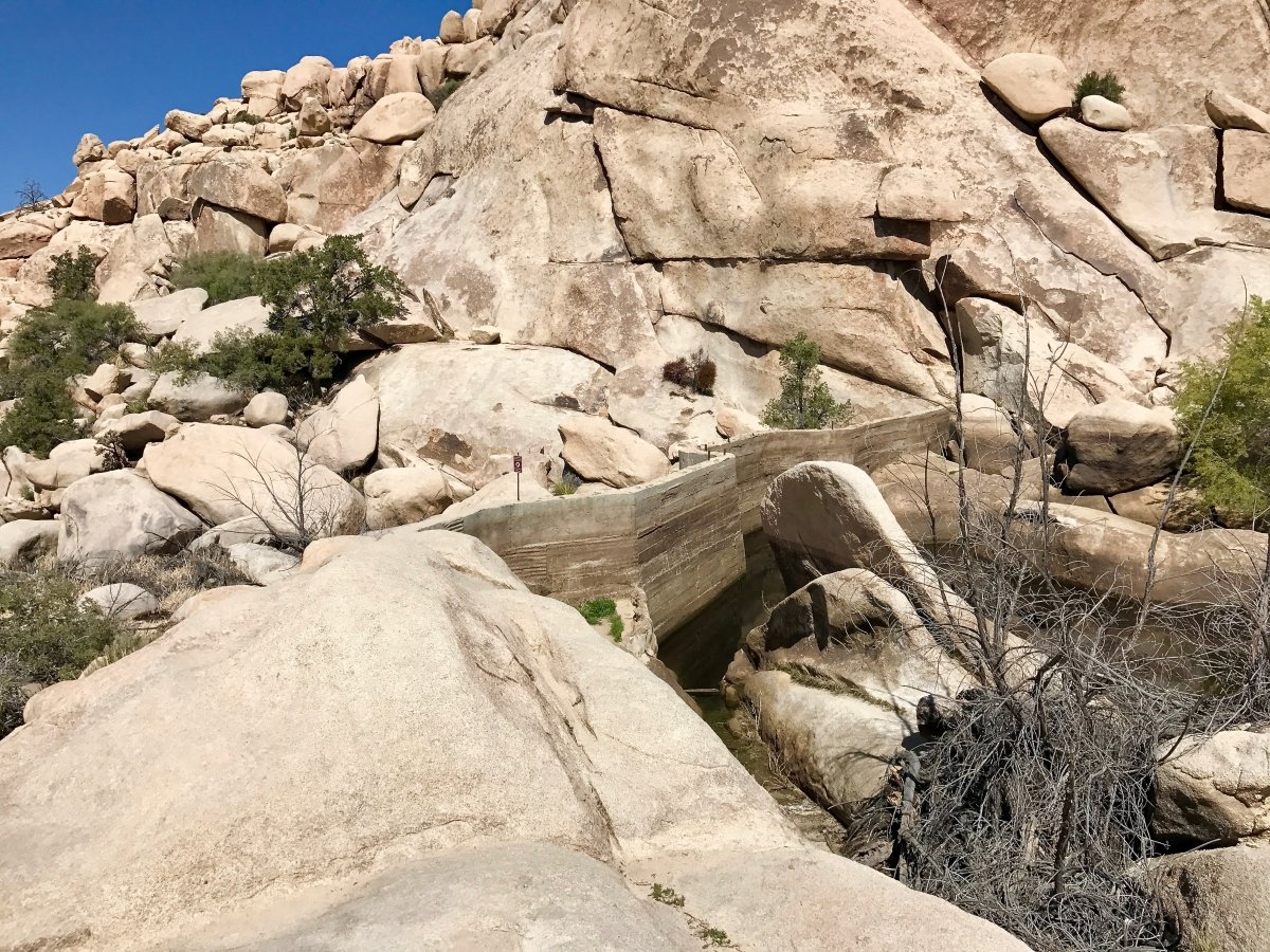 Best Hikes in Joshua Tree National Park on a One-Day Trip 22