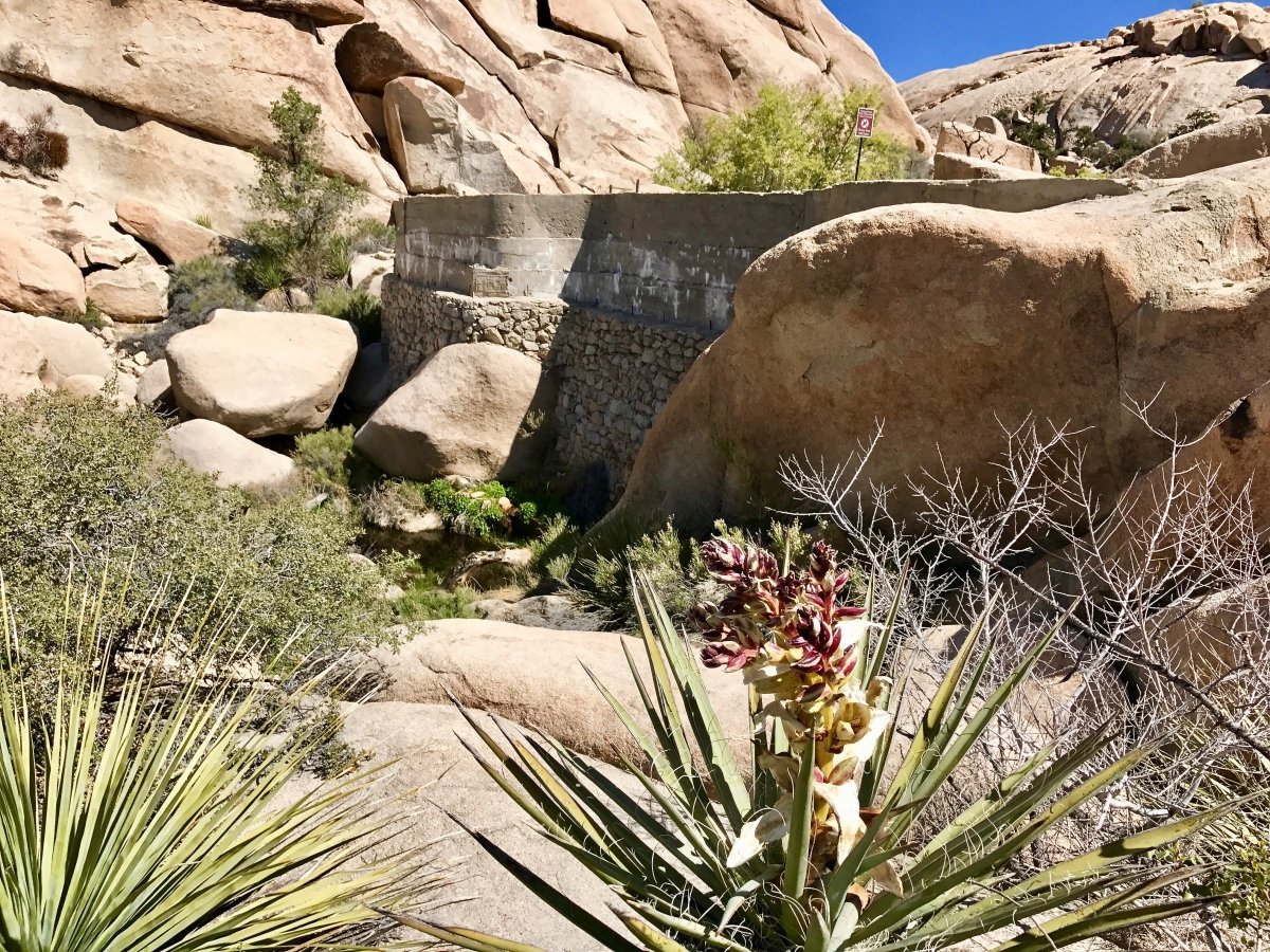 Best Hikes in Joshua Tree National Park on a One-Day Trip 20