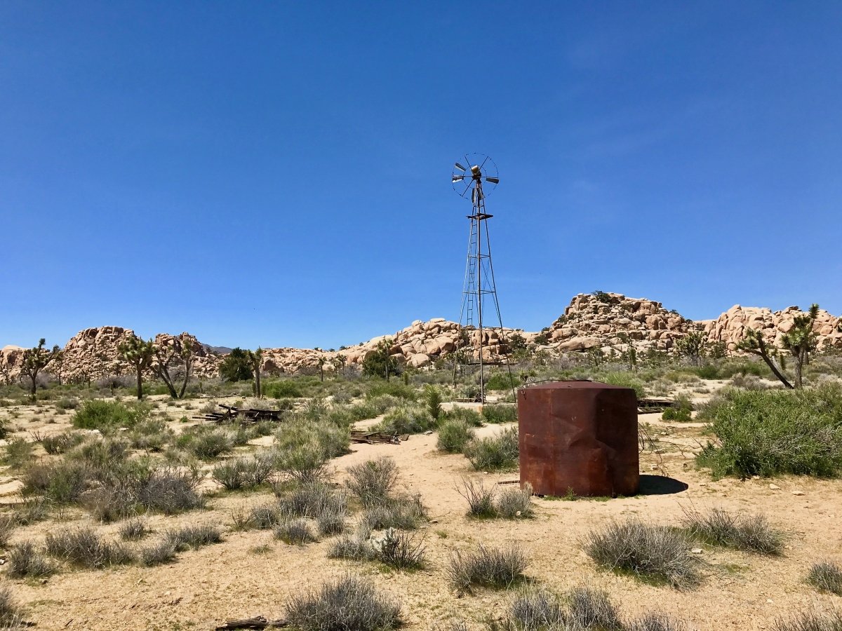Best Hikes in Joshua Tree National Park on a One-Day Trip 48