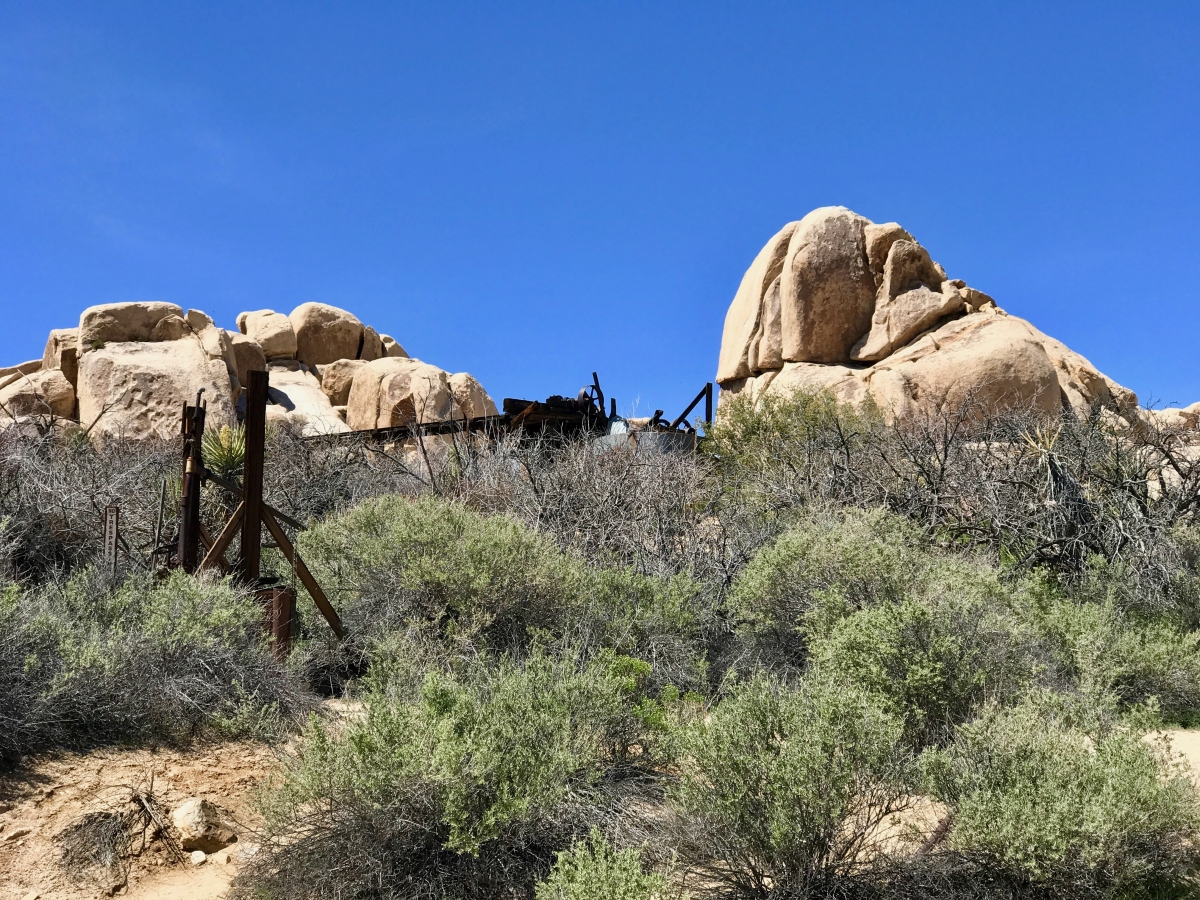 Best Hikes in Joshua Tree National Park on a One-Day Trip 50