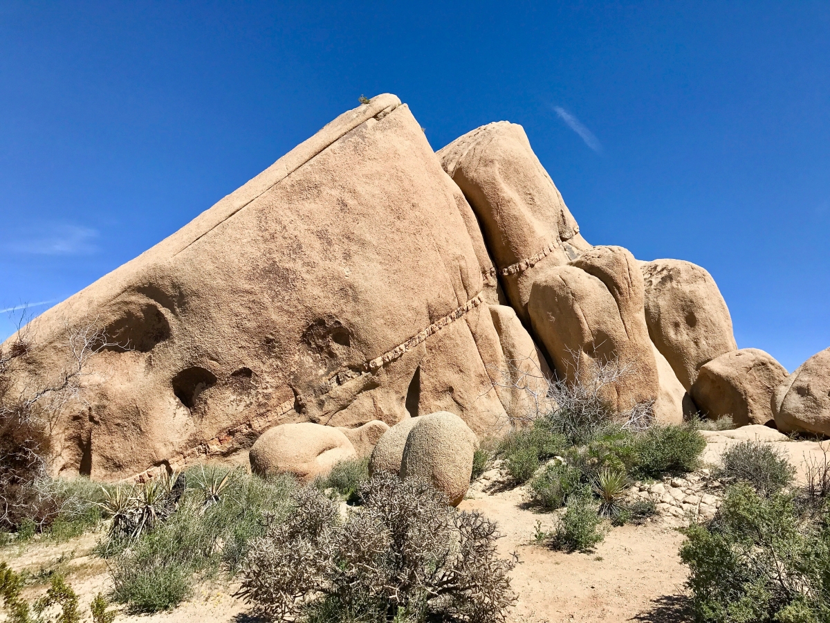 Best Hikes in Joshua Tree National Park on a One-Day Trip 70