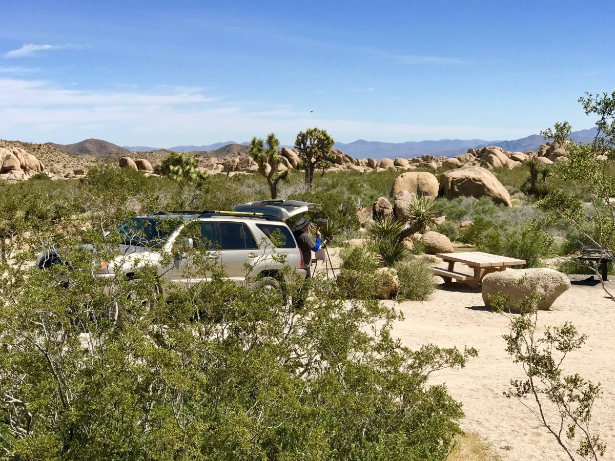 Best Hikes in Joshua Tree National Park on a One-Day Trip 73