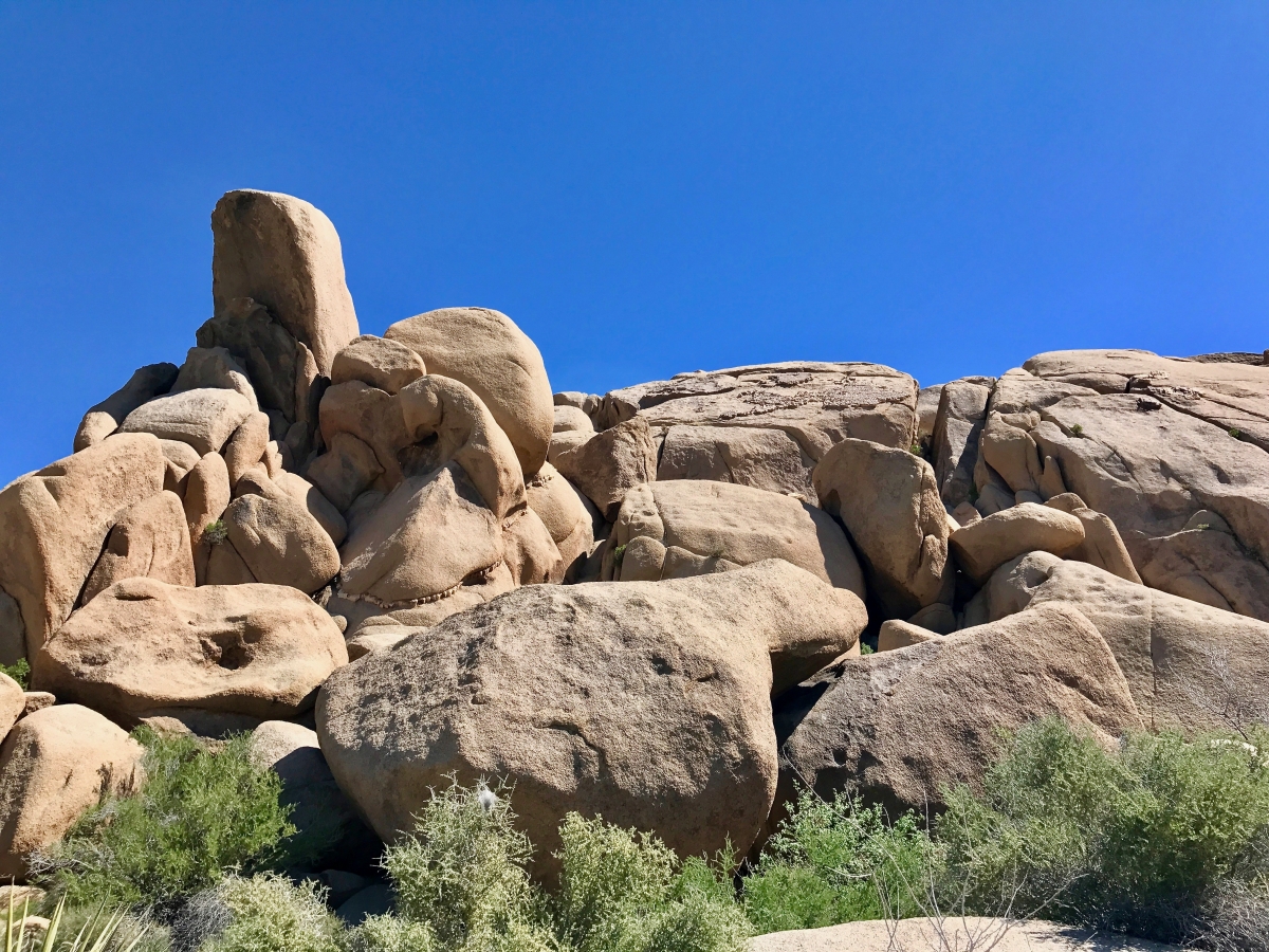 Best Hikes in Joshua Tree National Park on a One-Day Trip 71