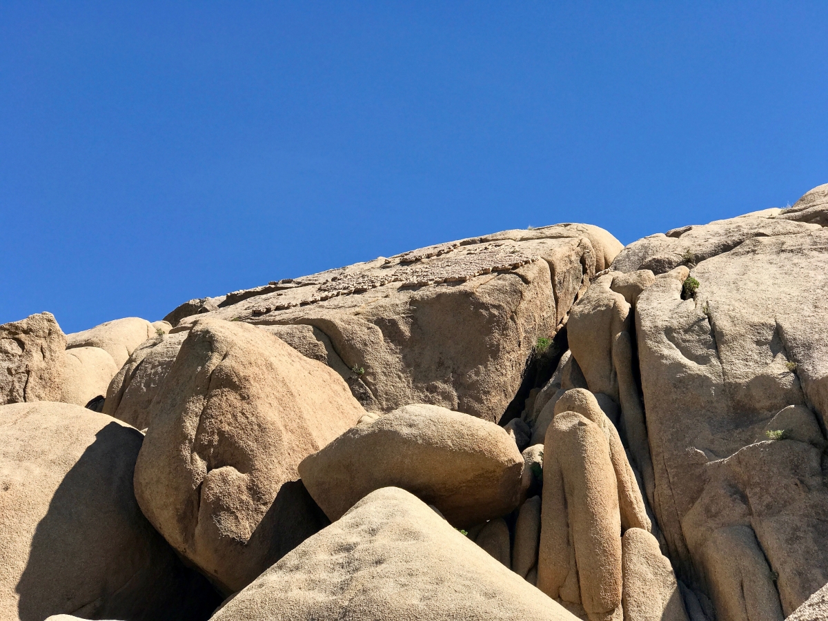 Best Hikes in Joshua Tree National Park on a One-Day Trip 72