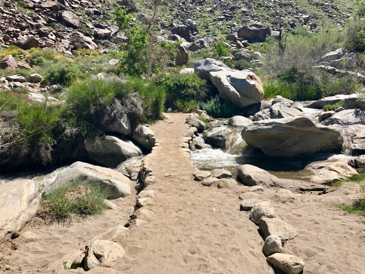 Take a Hike up Southern California's Tahquitz Canyon 12