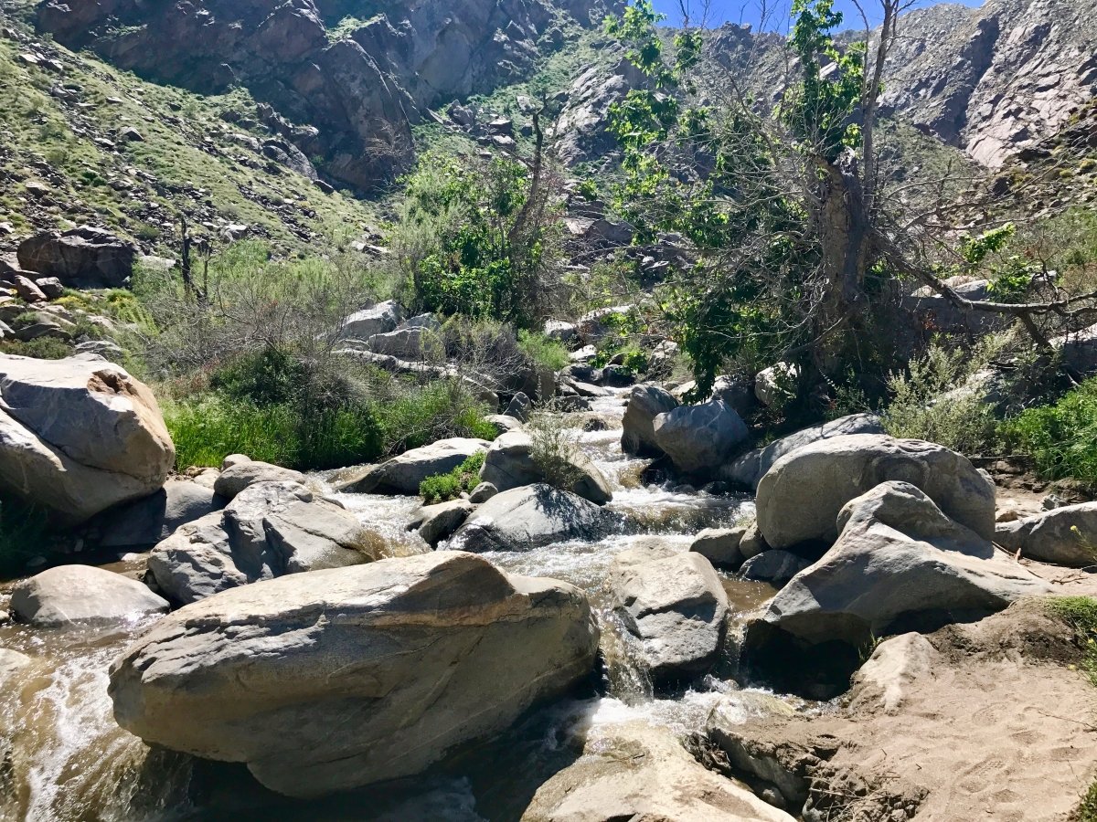 Take a Hike up Southern California's Tahquitz Canyon 13