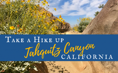 Take a Hike up Southern California’s Tahquitz Canyon