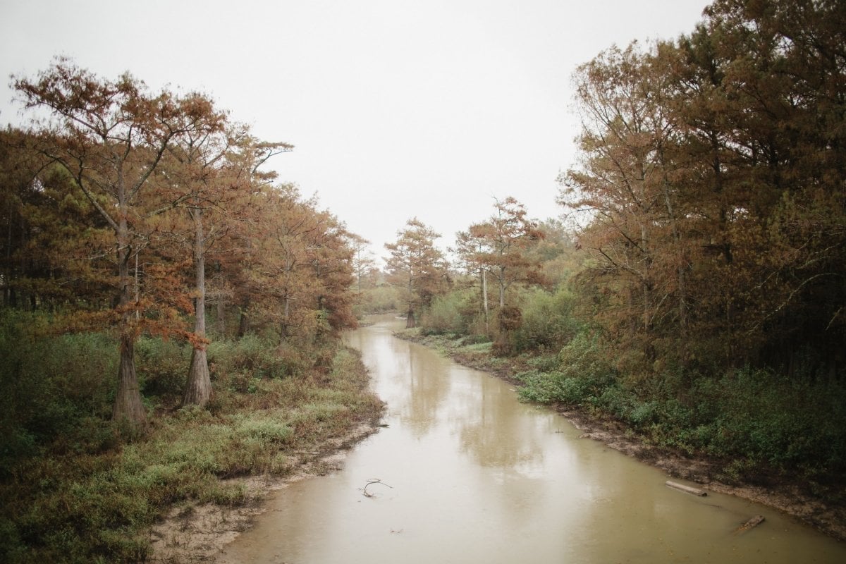 Searching for Emmett Till: A Mississippi Delta Pilgrimage 53