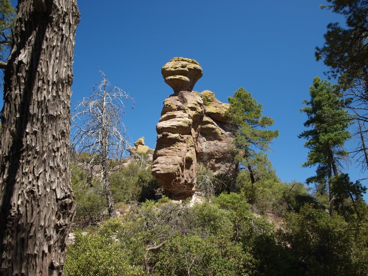 Explore the Geological and Cultural Diversity of Southeast Arizona 19