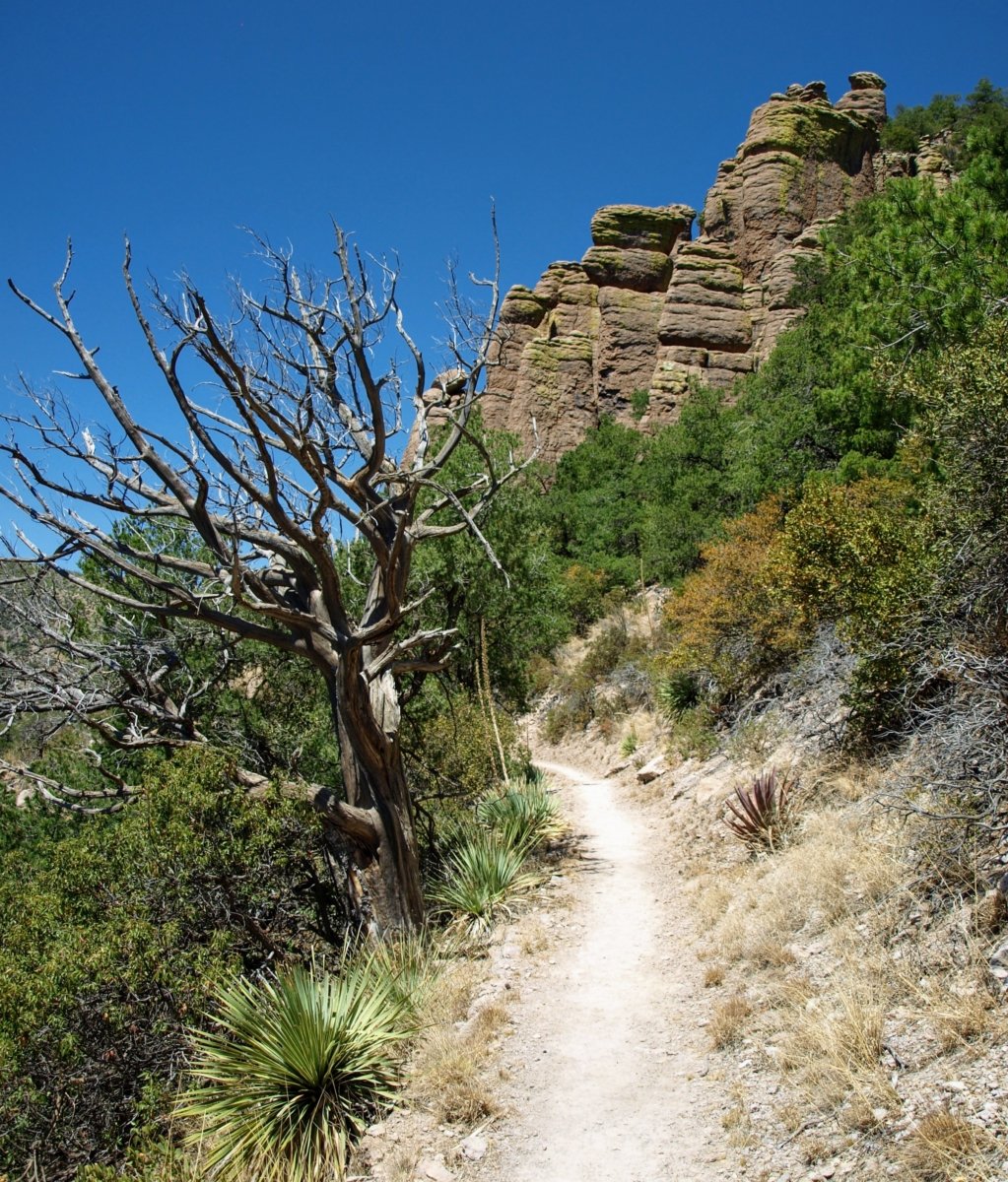 Explore the Geological and Cultural Diversity of Southeast Arizona 20